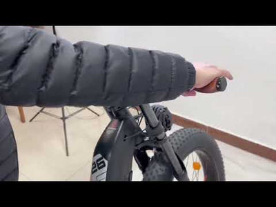 Freesky Dual Motor Electric Mountain Bike Warrior M-530 test instruction