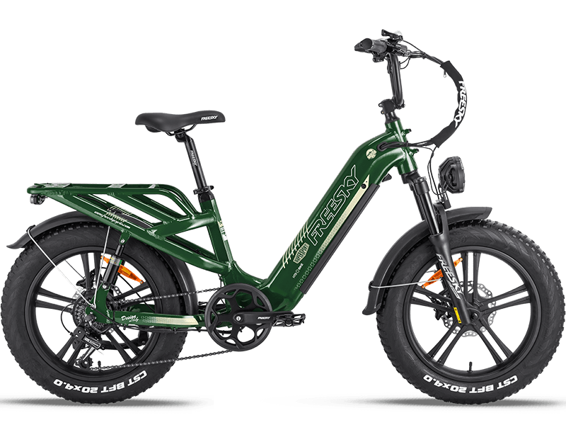 2500W Peak Electric Step Thru Bike Rocky Pro A-320 2500W Peak Electric Step Thru Bike Rocky Pro A-320