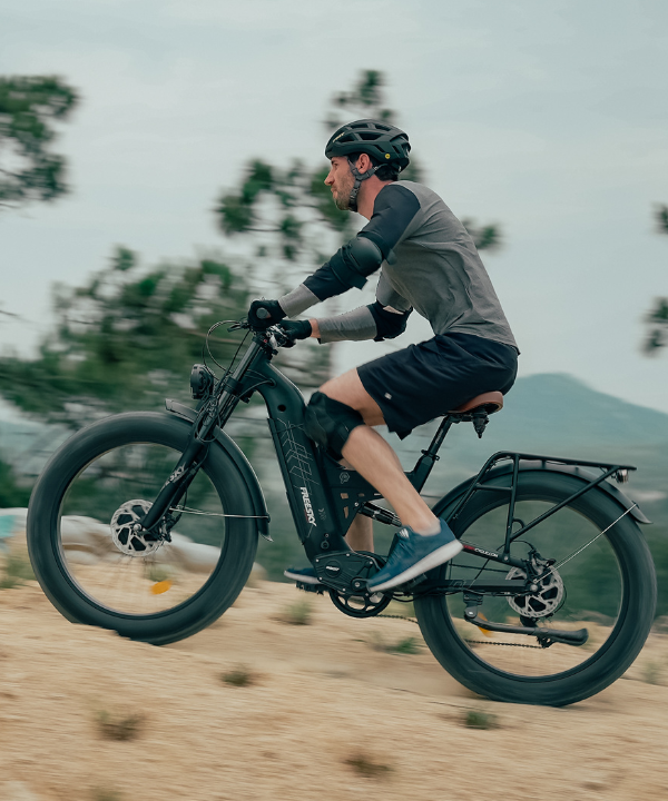 Dual Motor eBikes