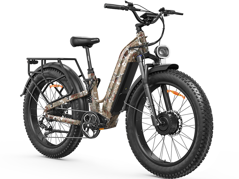 Freeskycycle eBike | Dual Motor, Peak Power 5000W & Step-thru Electric Bike