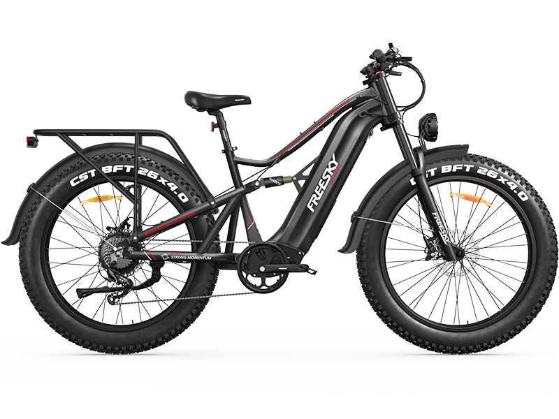 Swift Horse Pro X-6E