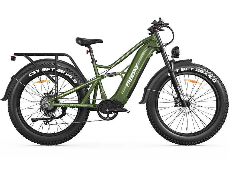 3500W Peak BaFang Motor Electric Mountain Bike with Rear Rack