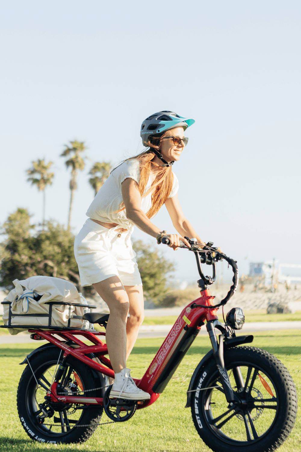 Freeskycycle eBike | 1800W Peak Electric Step Thru Bike Rocky Pro A-320 ...