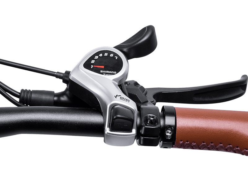 Freeskycycle eBike | Shifter