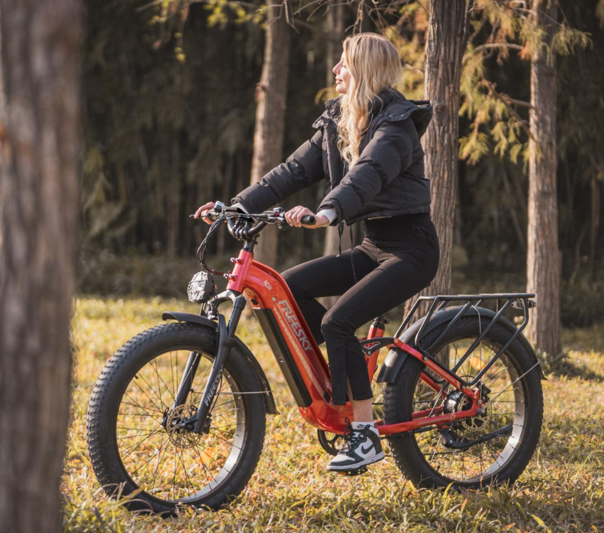 Freeskycycle eBike | Electric Step Thru Bike Wild Cat Ultra A-340 ...